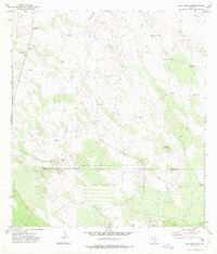 Agua Nueva SE 1972 topographic map thumbnail