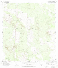 Agua Nueva 1972 topographic map thumbnail