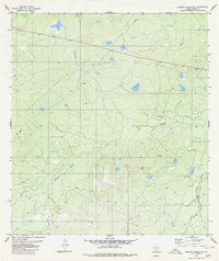 Alamito Creek NE 1980 topographic map thumbnail