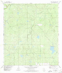 Alamito Creek 1980 topographic map thumbnail