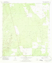 Albercas Ranch 1972 topographic map thumbnail