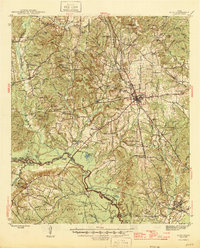 Alto 1946 topographic map thumbnail