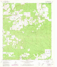 Apple Springs 1963 topographic map thumbnail