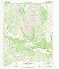 Beaver Creek 1968 topographic map thumbnail