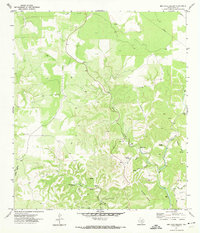 Bee Cave Hollow 1971 topographic map thumbnail