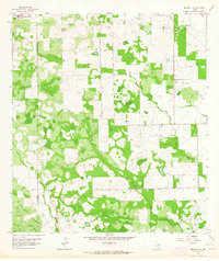 Ben Bolt NW 1963 topographic map thumbnail