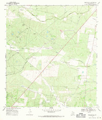 Benavides NE 1968 topographic map thumbnail