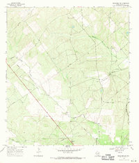 Benavides NW 1968 topographic map preview