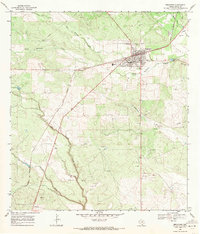 Benavides 1968 topographic map thumbnail