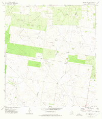 Bentsen Ranch 1972 topographic map thumbnail