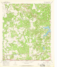 Bernie Lake 1966 topographic map thumbnail