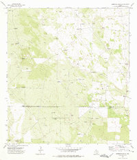 Borregos Ranch 1972 topographic map thumbnail