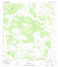 Bruni SE 1972 topographic map thumbnail