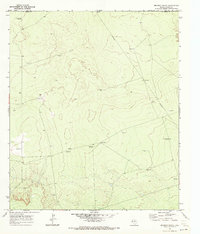 Brunson Ranch 1970 topographic map thumbnail