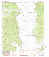Brushy Creek 1984 topographic map thumbnail