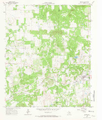 Bryson 1964 topographic map preview