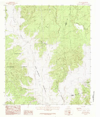 Buck Bay 1984 topographic map thumbnail
