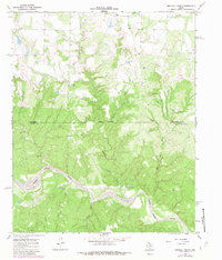 Buckle L Ranch 1967 topographic map thumbnail