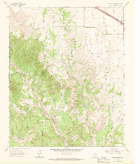 Buffalo Arroyo 1963 topographic map thumbnail