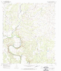 Buffalo Bluff 1967 topographic map thumbnail