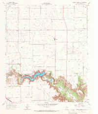 Buffalo Springs Lake 1965 topographic map thumbnail