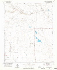 Buffalo Springs 1973 topographic map thumbnail