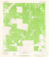 Buffalo Well 1963 topographic map thumbnail