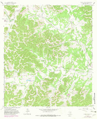 A Bar A Ranch 1964 topographic map thumbnail