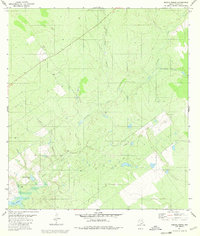 Arroyo Burro 1980 topographic map thumbnail