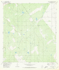 Arroyo Huisache 1980 topographic map thumbnail