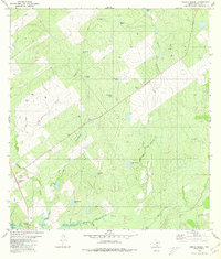 Arroyo Miguel 1980 topographic map thumbnail