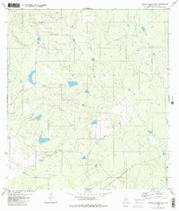 Arroyo Salado East 1980 topographic map thumbnail