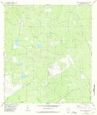 Arroyo Salado East 1980 topographic map thumbnail
