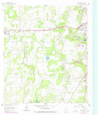 Bangs East 1962 topographic map thumbnail