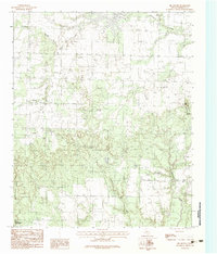 Big Mound 1983 topographic map thumbnail