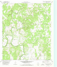 Big Valley North 1980 topographic map thumbnail