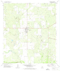 Big Wells 1972 topographic map thumbnail