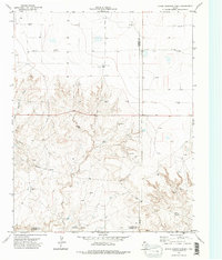 Bivins Channing Ranch 1971 topographic map thumbnail