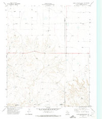 Bivins Channing Ranch 1971 topographic map thumbnail