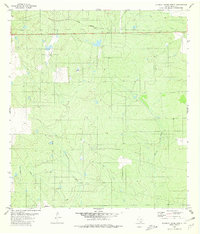Blancas Creek North 1980 topographic map thumbnail