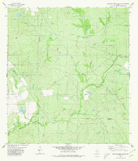 Blancas Creek South 1980 topographic map thumbnail