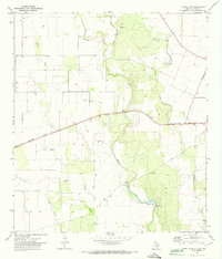 Blanco Lake 1971 topographic map preview
