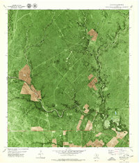 Blanconia 1979 topographic map thumbnail