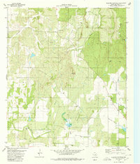 Blucher Mountain 1980 topographic map thumbnail