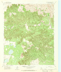 Blue Hole Springs 1963 topographic map thumbnail