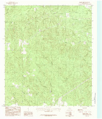 Boggy Lake 1984 topographic map thumbnail