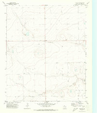 Bootleg 1971 topographic map thumbnail