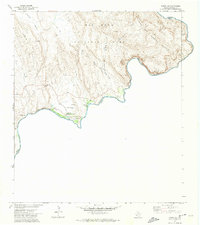 Boquillas 1971 topographic map thumbnail