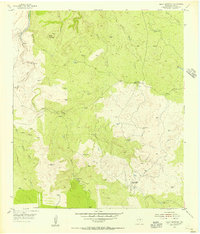 Brady Mountian 1955 topographic map thumbnail