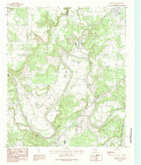 Brazos East 1984 topographic map thumbnail